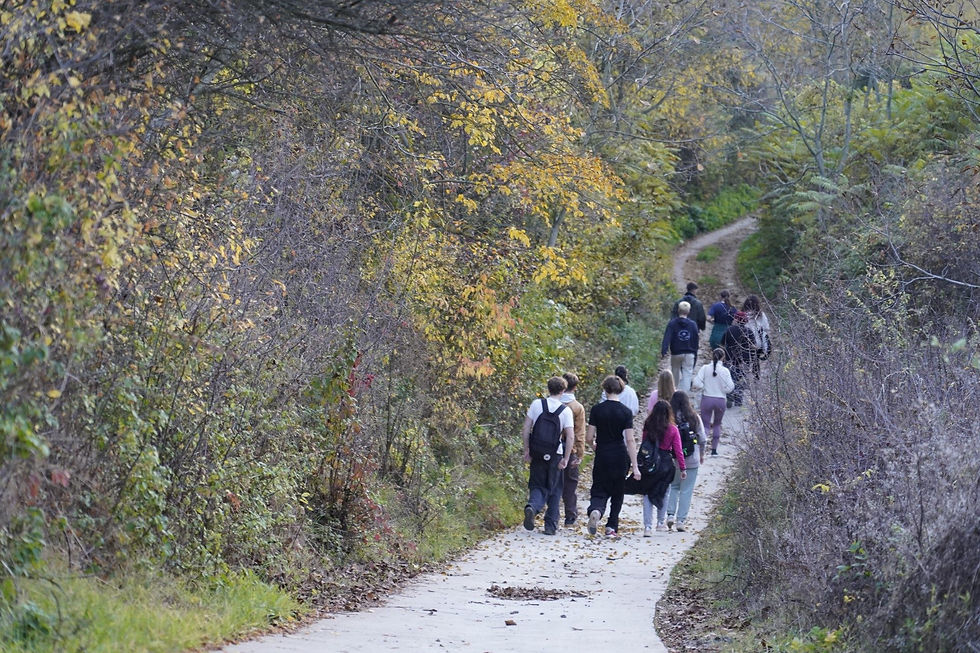 Blooming Connections