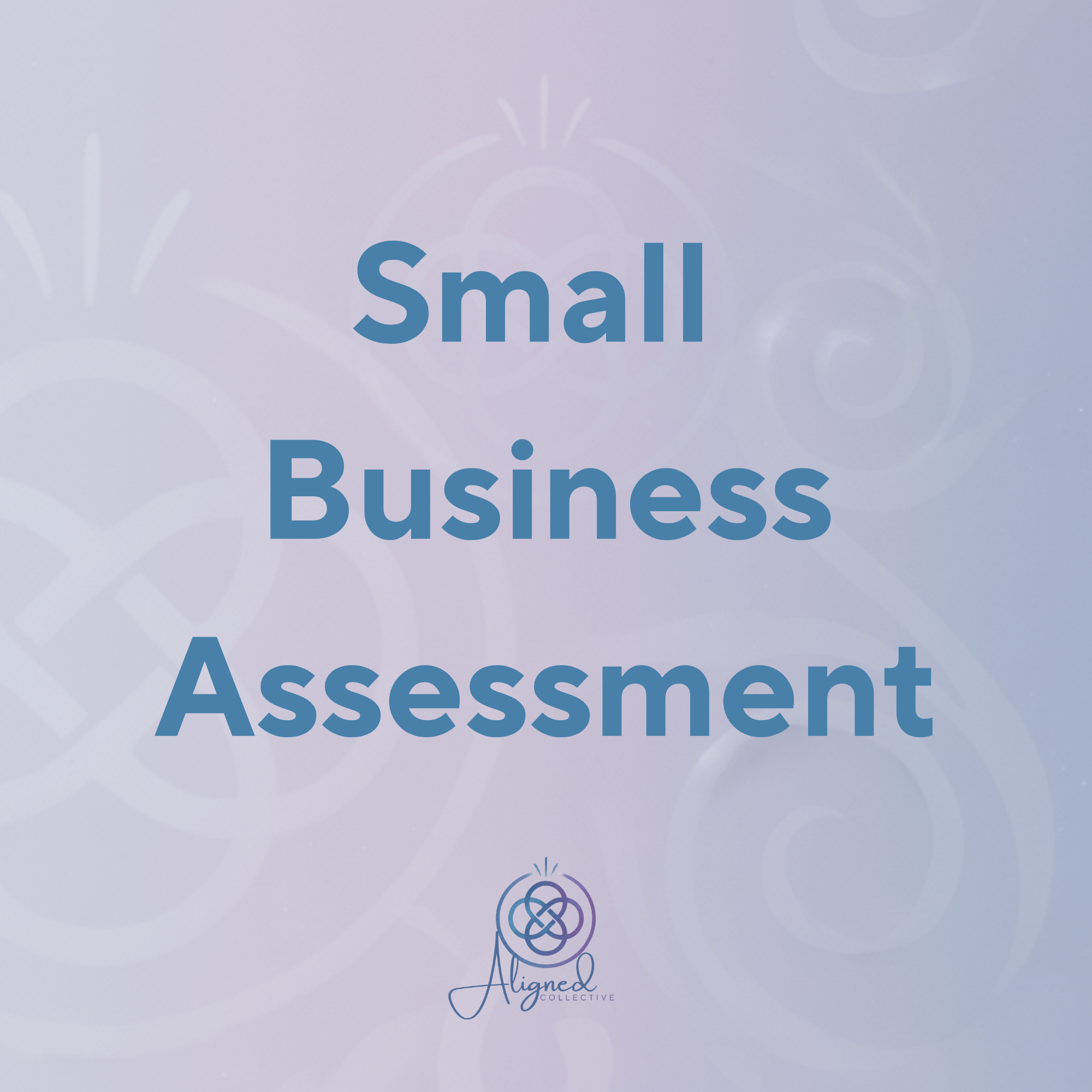 Small Business Assessment