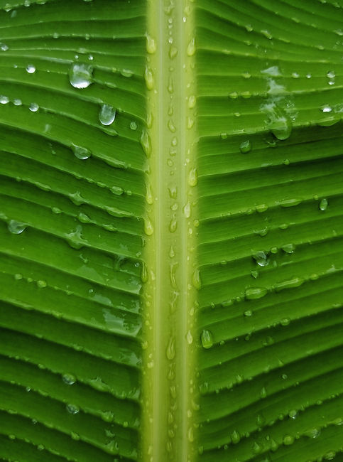 mukil-menon-KBIzozGziM4-unsplash.jpg
