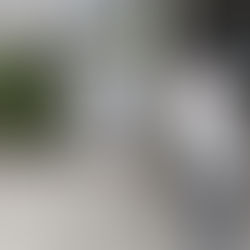 BAC 2024 : Suivez les résultats du Baccalauréat en direct au niveau national et local