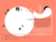 fullsizeoutput_394.jpeg
