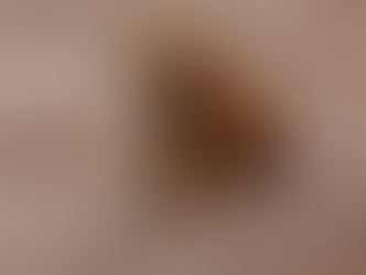 Vira-lata caramelo se torna expressão cultural de São Paulo