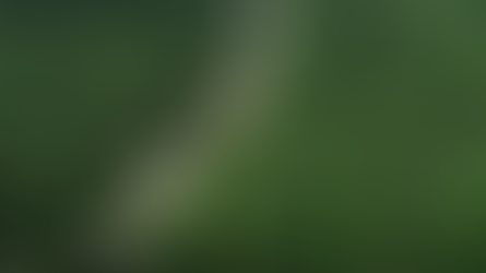 No Dia da Amazônia, campanha pede que eleitor vote por floresta em pé