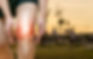 AdobeStock_295489289.jpeg