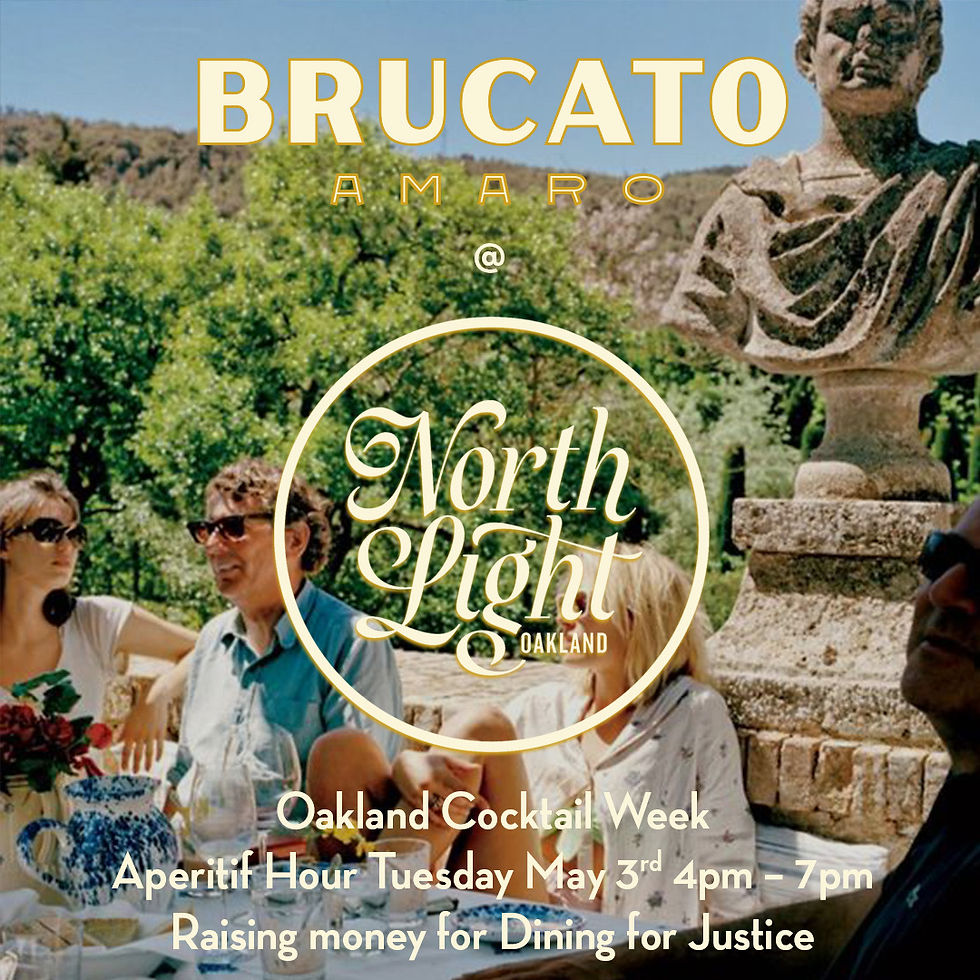 North Light Will Guide You: An Evening with Brucato Amaro