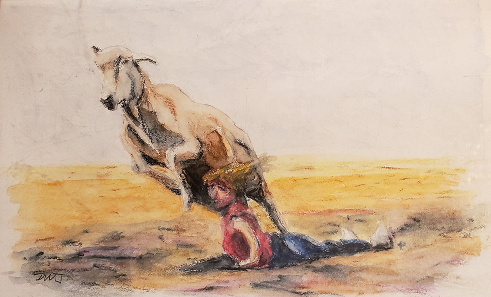 Mutton-busting | Watercolor | USA