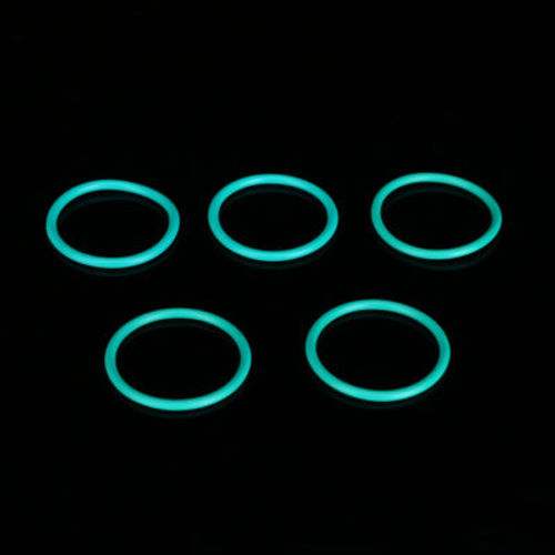 MDRX Piston head O-ring (x5)