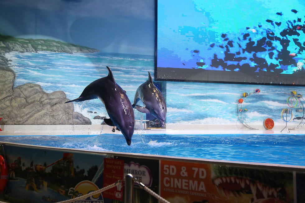 A pair of dolphins jumping together in the water, creating a beautiful and synchronized splash.