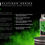Miniature : CYCO B1 Boost