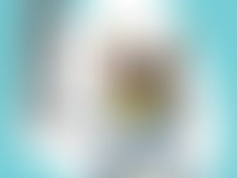 68.又係功夫貓黨