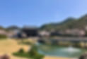 IMG_1816.jpeg