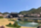 IMG_1816.jpeg
