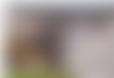 First estate auction in Hong Kong