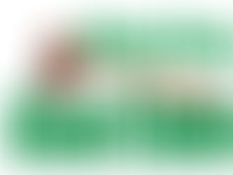 LiveAuctioneers Breaks into Asian Market Feb 2007