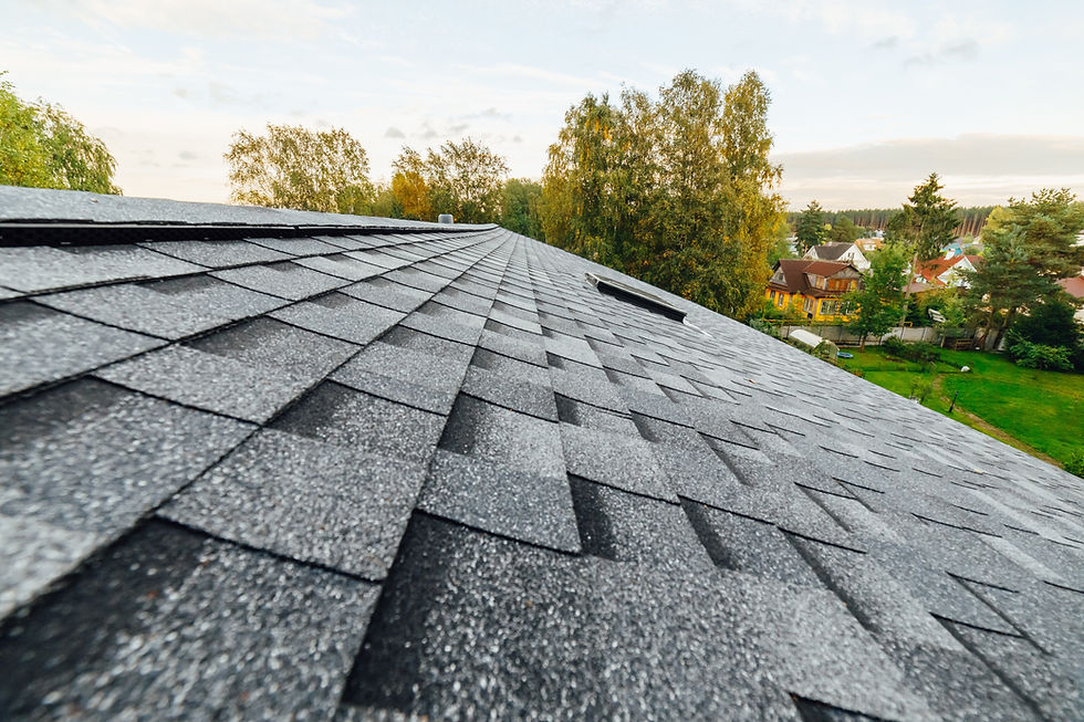 roof of new house with shingles roof-tiles.jpg