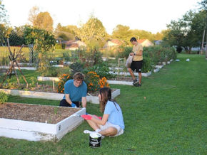 Spring Blooms at Wilmington College Community Gardens