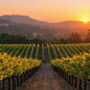 Sonoma County