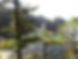 service-page-banner.jpg