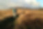 banner-01.jpg