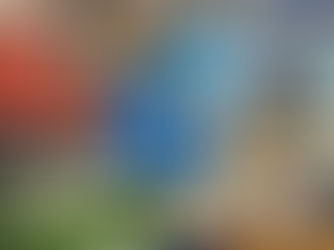 Wilmington Community Recreation Center Fund