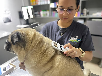 Chip Nuevo Colinas 3.jpeg