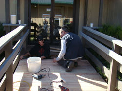 Sun Country - Handicap Ramps