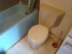 Sun Country - Toilet