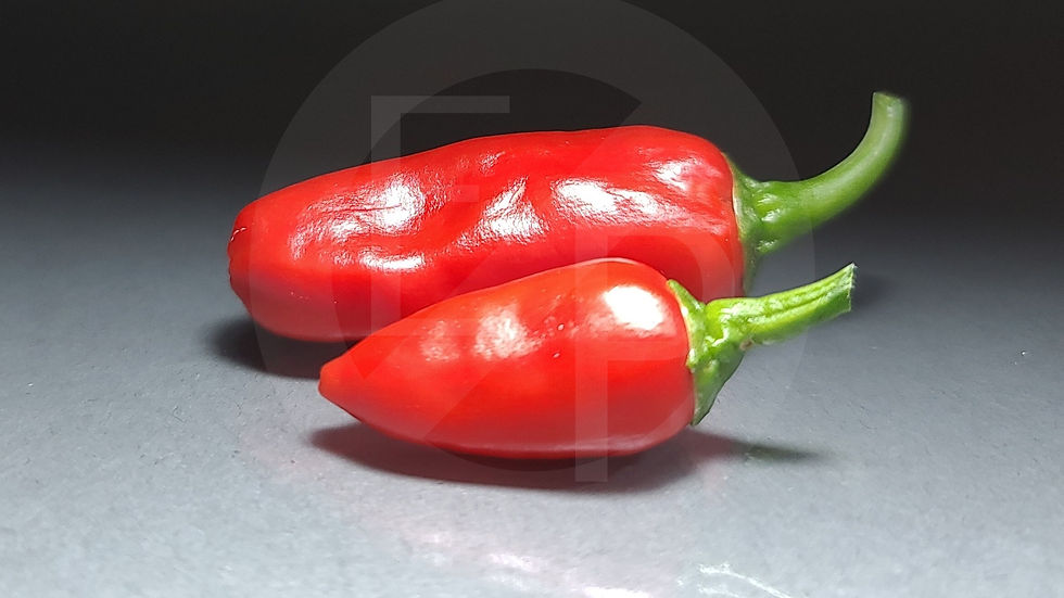 Thumbnail: Chile Tepin or Birds Eye Chili