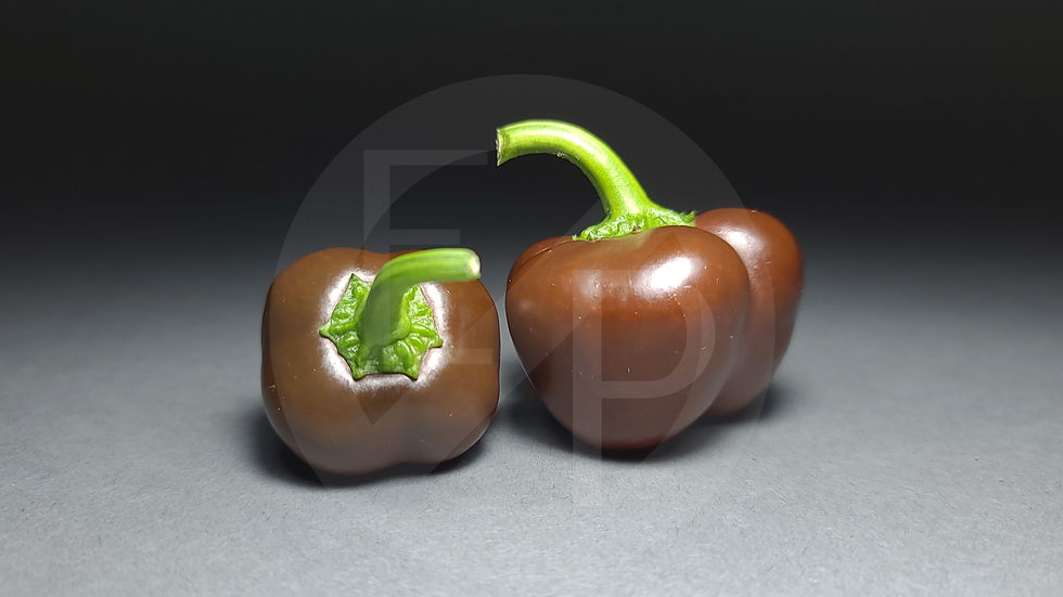 Thumbnail: Mini Chocolate Bell