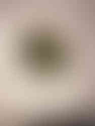 Blocked basin outlet due to deteriorated washer lodged in the breech causing flow restriction