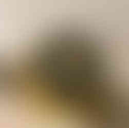 Photo of a worn flush valve seal causing a cistern to run in brisbane