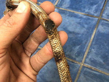 Close-up of a severely corroded braided flexible water hose with a ruptured section, showing rust damage that caused the hose to burst and flood the property.