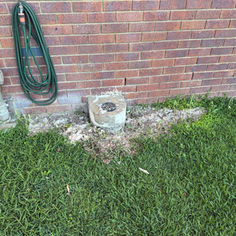 Blocked sewer drain overflow point outside house with signs of wastewater buildup