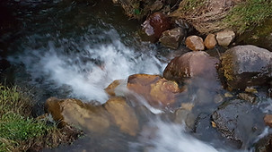 20210703_182236.jpg