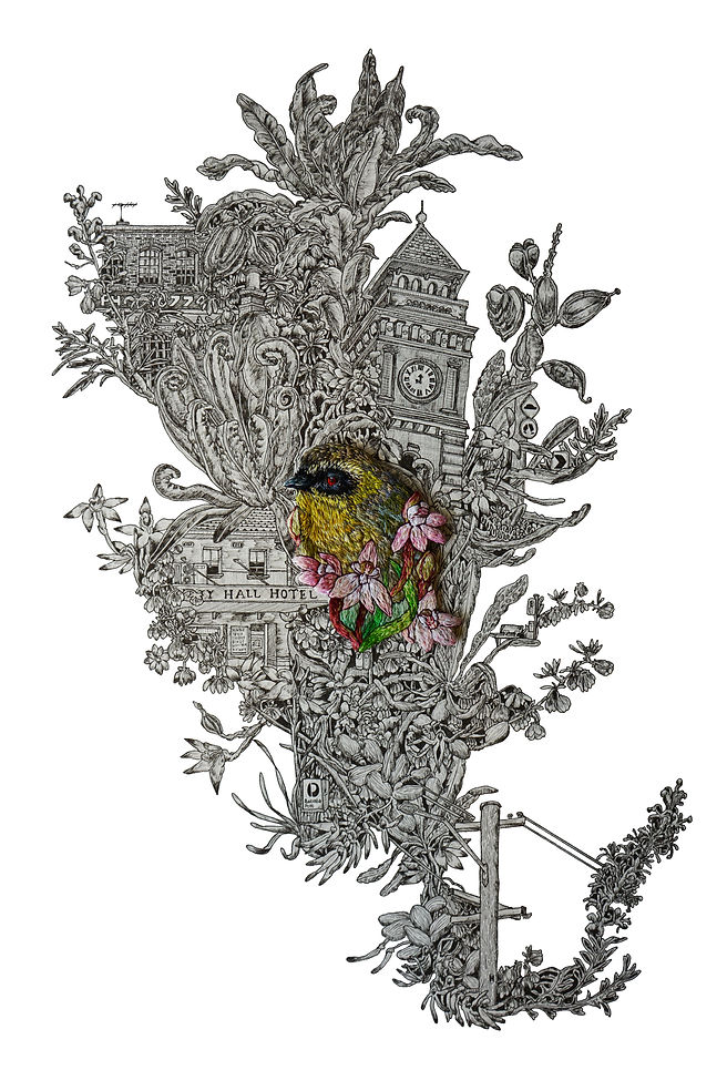 Lost Suburbs_Yellow Throated Scrubwren, Dusky Fingers, Balmain Post Office.jpg