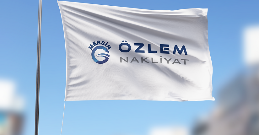 mersin evden eve nakliyat