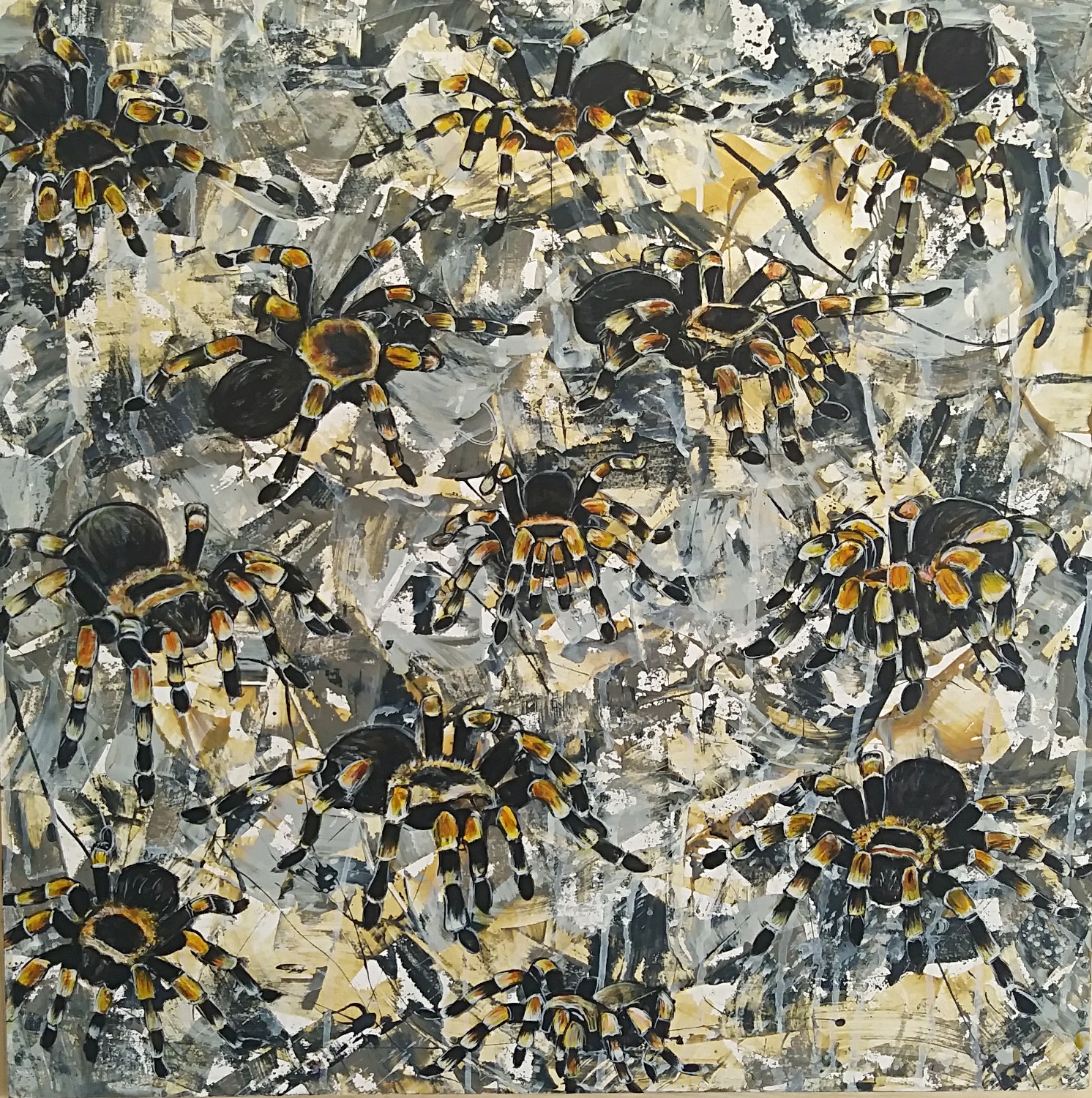 Camouflage Tarantulas