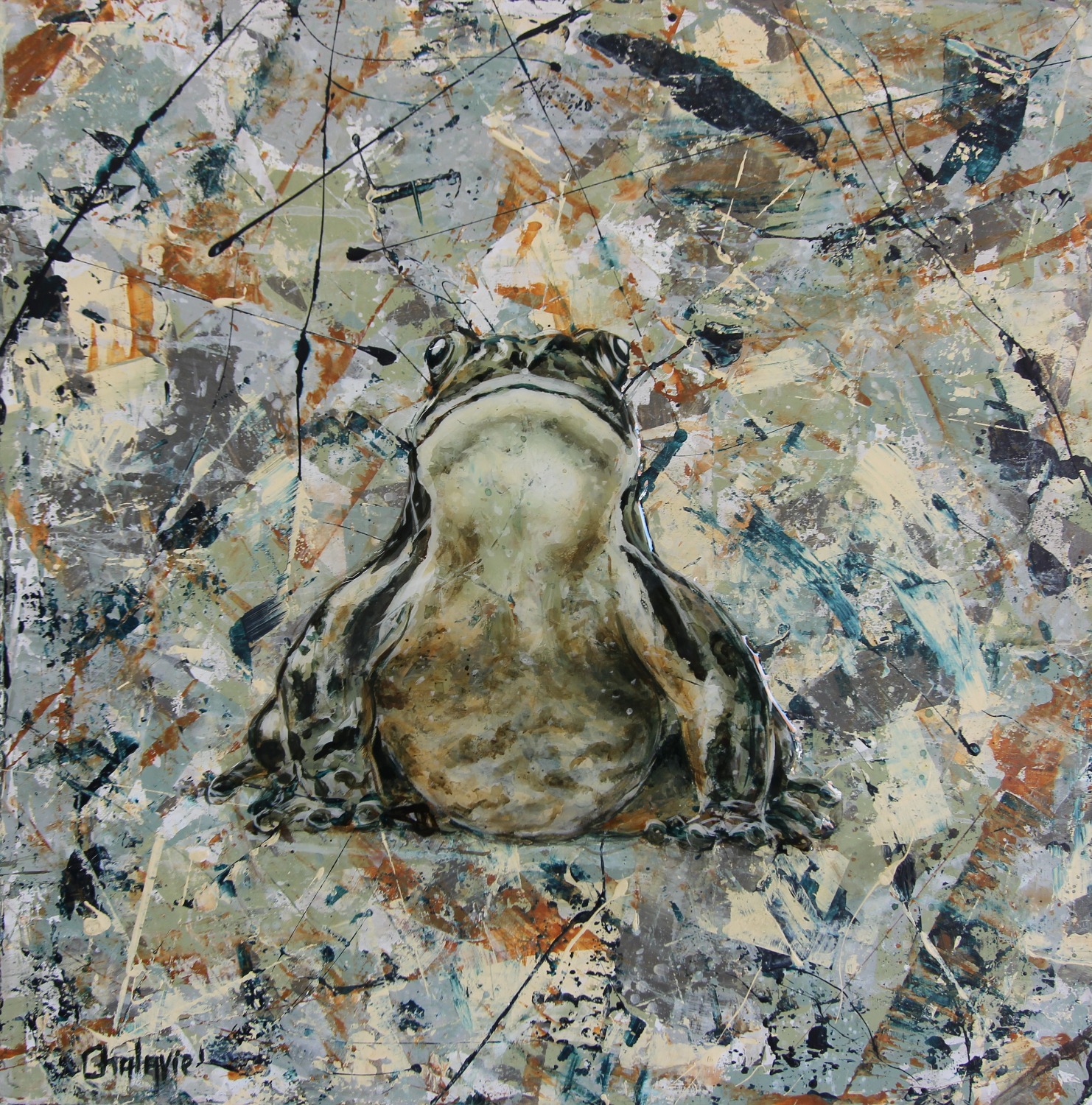 Camouflage Frog