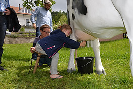 Kinder_Familien5.jpg