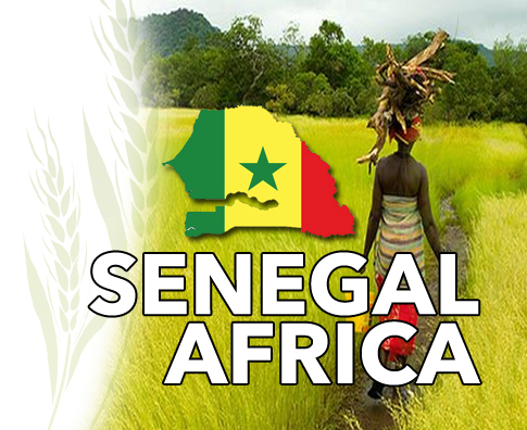 Senegal Africa