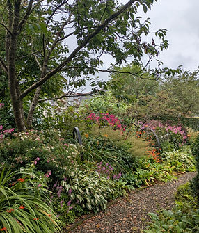 Kirkmuir3.jpg