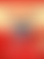 【 対面販売 】出張！おでかけまんぷく市 in 琴浦