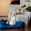 Miniaturbild: BROOKS ROYAL VELVET Hundebett Blue