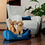 Miniaturbild: BROOKS ROYAL VELVET Hundebett Blue