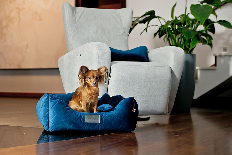 Miniaturbild: BROOKS ROYAL VELVET Hundebett Blue