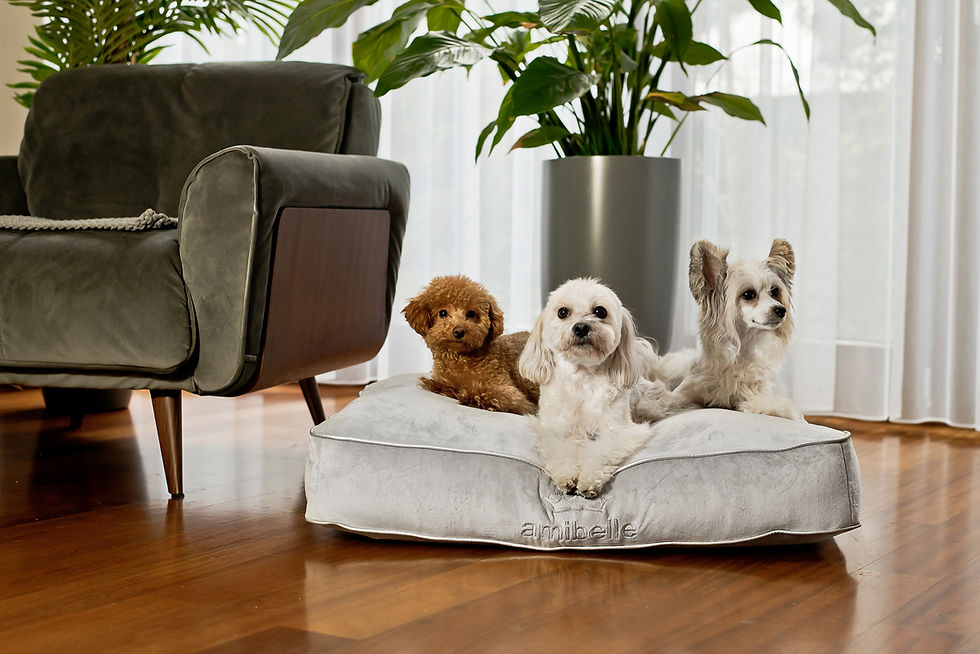 Miniaturbild: ROYAL VELVET Hundekissen Grey