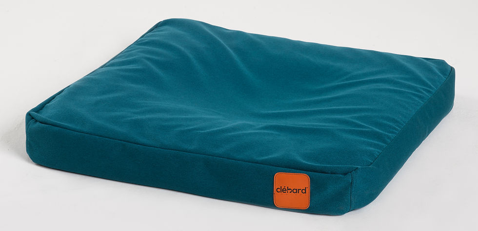 Miniaturbild: Hundepolster Sofa Blau