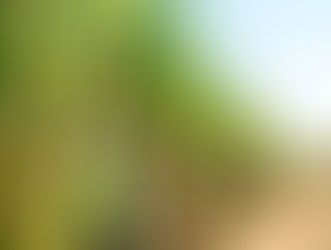 Unveiling the Sweet Truth: Why Sugarcane Emerges as the Healthier and More Sustainable Sweetener for Beverages