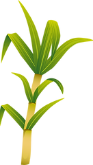 Asset 3_4x_edited_edited.png