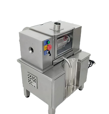 Sugarcane Juicer_edited_edited.png